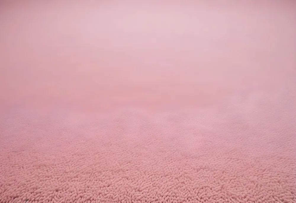 Minimal Soft Studio Light Photography A Close Up View Of A Soft Textured Pink Carpet Or Rug With A Subtle Pattern High Detail Solid Bold Color Background 47 75b0