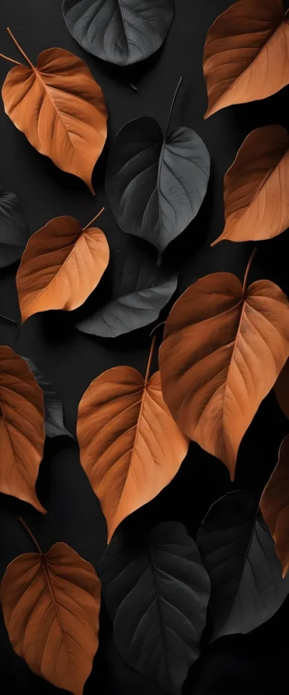 Minimal Soft Studio Light Photography A Composition Of Large