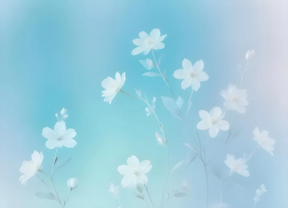 Minimal Soft Studio Light Photography Abstract