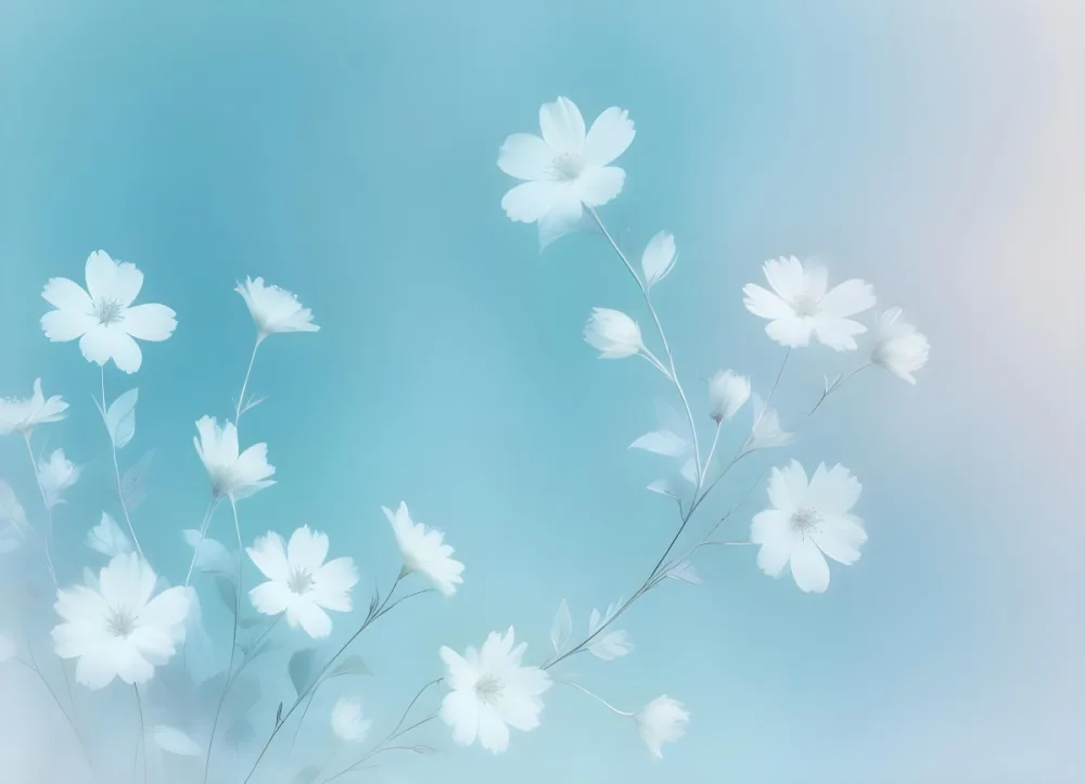Minimal Soft Studio Light Photography Abstract Background With Light Blue And White Floral Patterns Soft Pastel Colors And A Dreamy Ethereal Quality Creating A Gentle And Calming Visual Effect High Detail Solid 95 D950