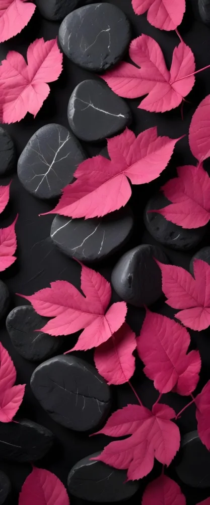 Minimal Soft Studio Light Photography Bright Pink Leaves With Prominent Veins Arranged Over A Textured Black Background Resembling Stones High Detail Solid Bold Color Background 2 88ad