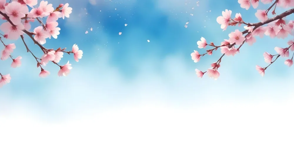 Minimal Soft Studio Light Photography Cherry Blossom Flowers With Pink Petals On A Blue Sky Background Some Petals Falling Down Soft And Dreamy Atmosphere Watercolor Style High Detail Solid Bold Color Background 1 8 3fb3