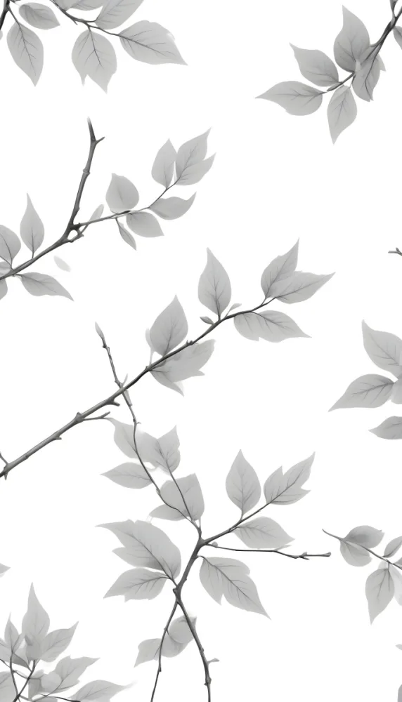 Minimal Soft Studio Light Photography Delicate Gray Leaves On Thin Branches Against A White Background High Detail Solid Bold Color Background 9 8b12