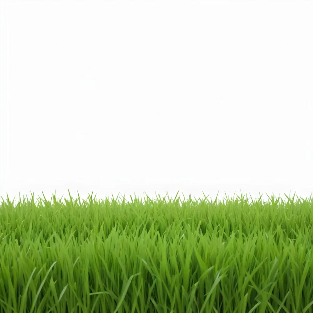 Minimal Soft Studio Light Photography Green Grass Field White Background High Detail Solid Bold Color Background 2 47a1