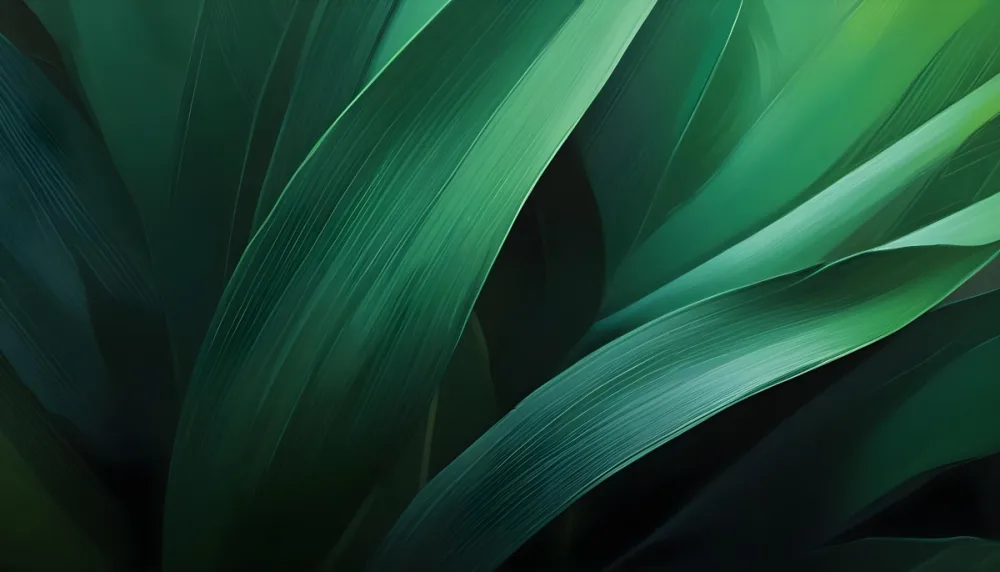 Minimal Soft Studio Light Photography Green Leaves With Geometric Patterns Close Up View High Detail Solid Bold Color Background 4 492d
