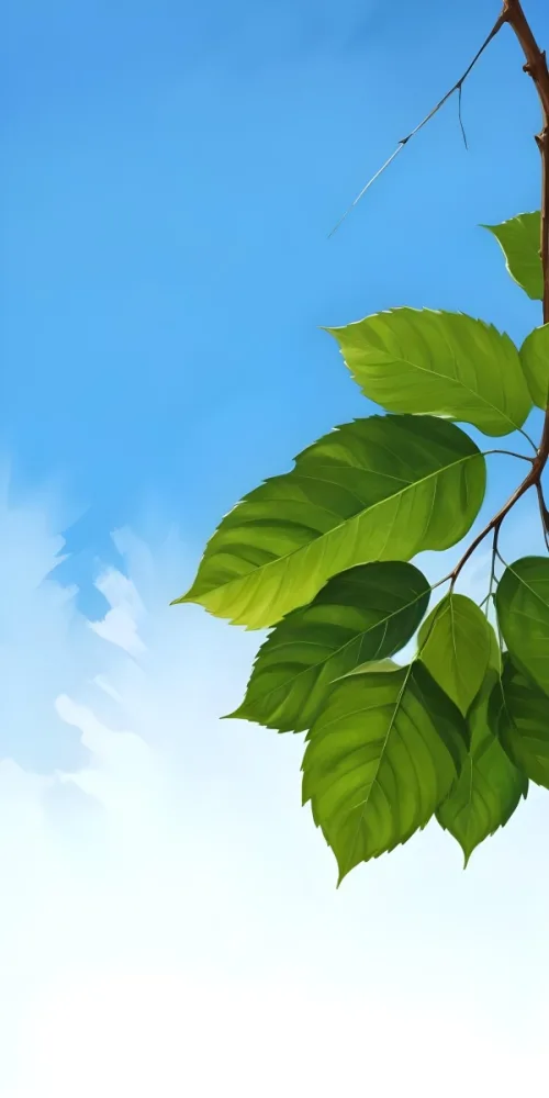 Minimal Soft Studio Light Photography Green Leaves With Thin Veins Against A Blue Sky Background High Detail Solid Bold Color Background 26 26b7