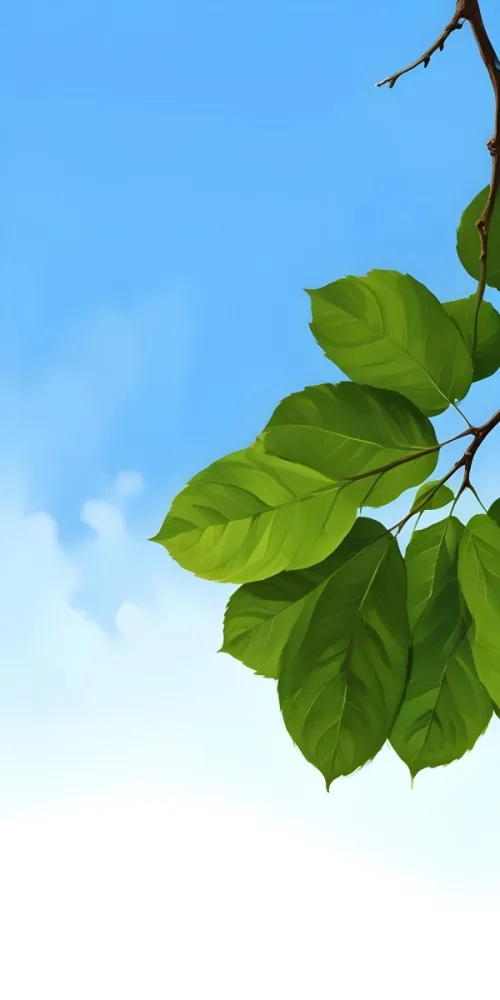Minimal Soft Studio Light Photography Green Leaves With Thin Veins Against A Blue Sky Background High Detail Solid Bold Color Background 36 58e2