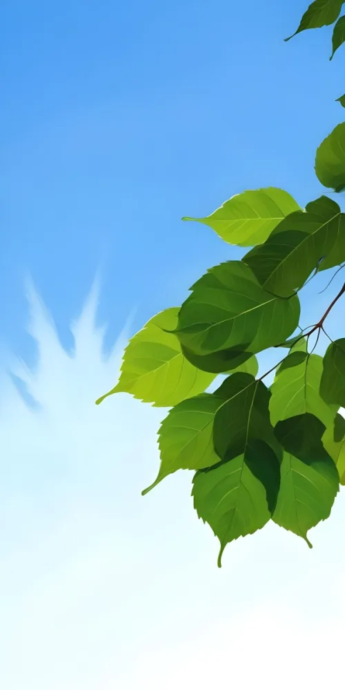 Minimal Soft Studio Light Photography Green Leaves With Thin Veins Against A Blue Sky Background High Detail Solid Bold Color Background 38 360d
