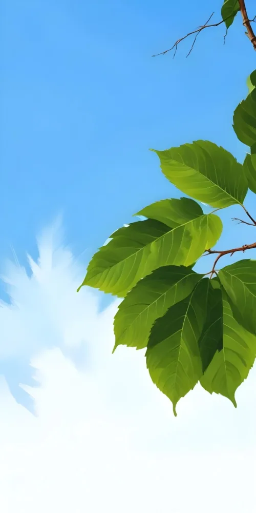 Minimal Soft Studio Light Photography Green Leaves With Thin Veins Against A Blue Sky Background High Detail Solid Bold Color Background 41 9872