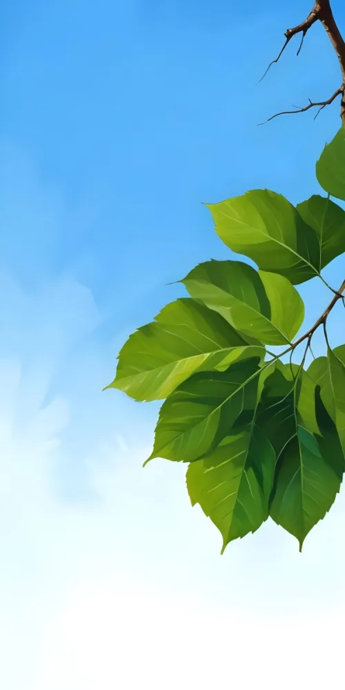 Minimal Soft Studio Light Photography Green Leaves With Thin Veins Against A Blue Sky Background High Detail Solid Bold Color Background 44 Ef4b