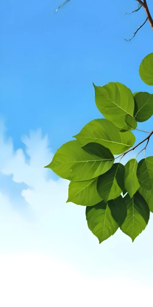 Minimal Soft Studio Light Photography Green Leaves With Thin Veins Against A Blue Sky Background High Detail Solid Bold Color Background 45 7288