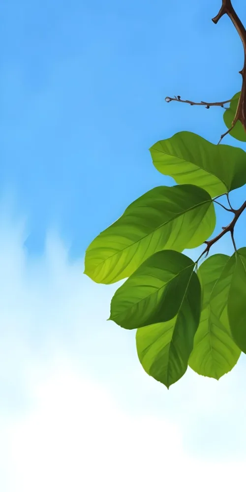 Minimal Soft Studio Light Photography Green Leaves With Thin Veins Against A Blue Sky Background High Detail Solid Bold Color Background 48 2098