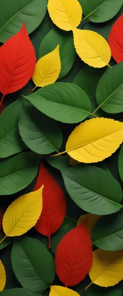 Minimal Soft Studio Light Photography Green Leaves With Yellow And Red Accents A Vibrant Natural Background High Detail Solid Bold Color Background 7 De79