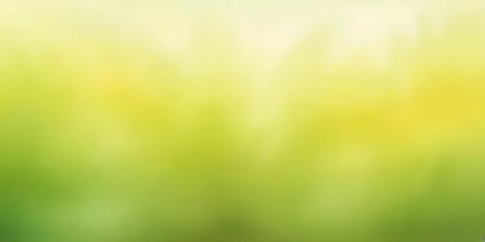 Oil Painting Abstract Background With A Gradient Of White Yellow And Green Transitioning From Light To Dark Creating A Soft And Blurred Effect Resembling A Field Creative Extremely Detailed Brush Stroke 14 Feb1