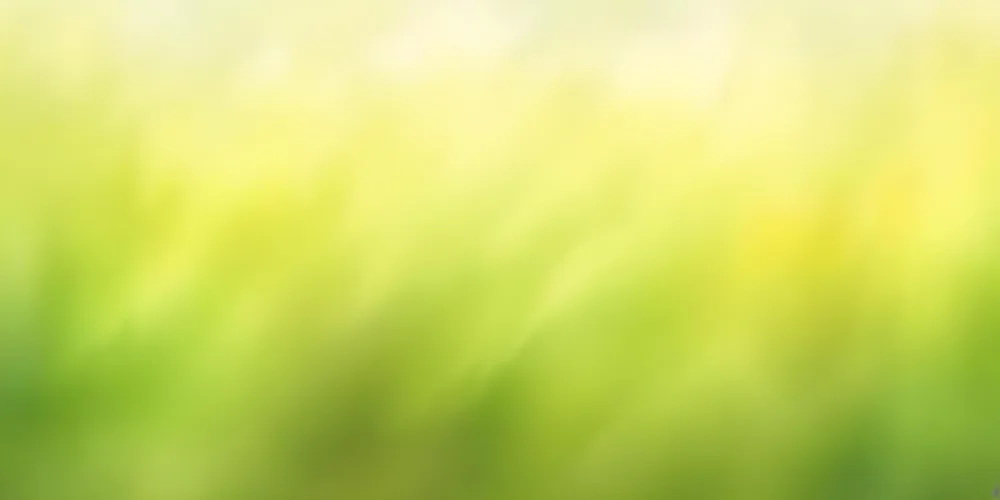 Oil Painting Abstract Background With A Gradient Of White Yellow And Green Transitioning From Light To Dark Creating A Soft And Blurred Effect Resembling A Field Creative Extremely Detailed Brush Stroke 4 88ea