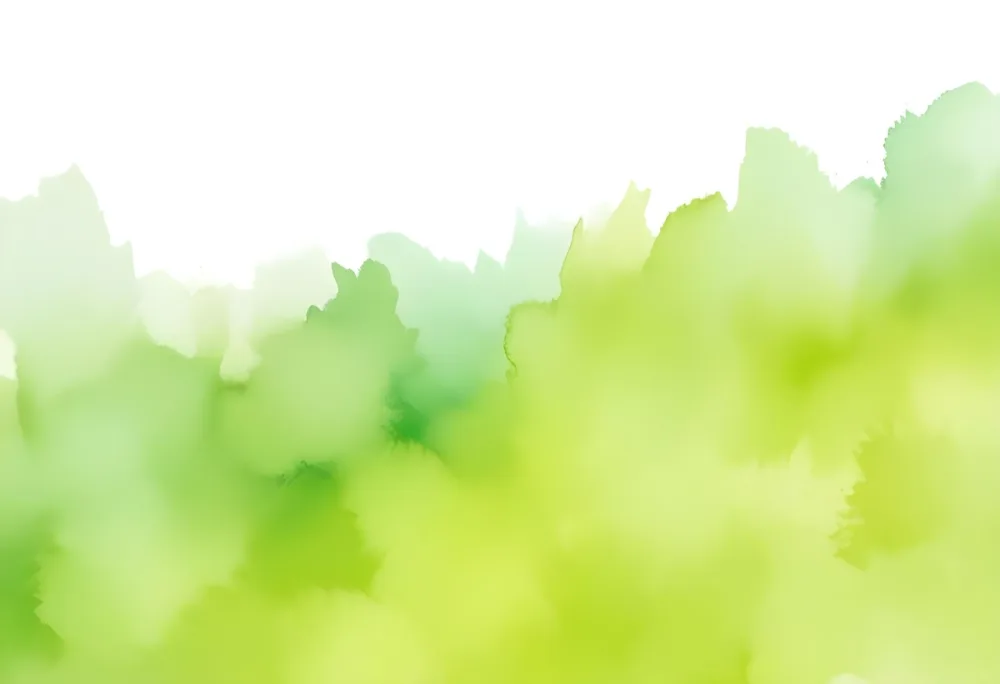 Oil Painting Abstract Watercolor Painting With A Blend Of Vibrant Green And White Hues Creating A Soft Textured Effect On A Textured Background Creative Extremely Detailed Brush Stroke 20 F202
