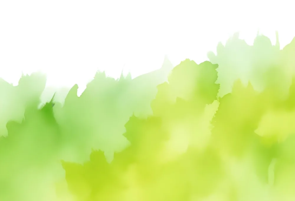 Oil Painting Abstract Watercolor Painting With A Blend Of Vibrant Green And White Hues Creating A Soft Textured Effect On A Textured Background Creative Extremely Detailed Brush Stroke 29 E6ab