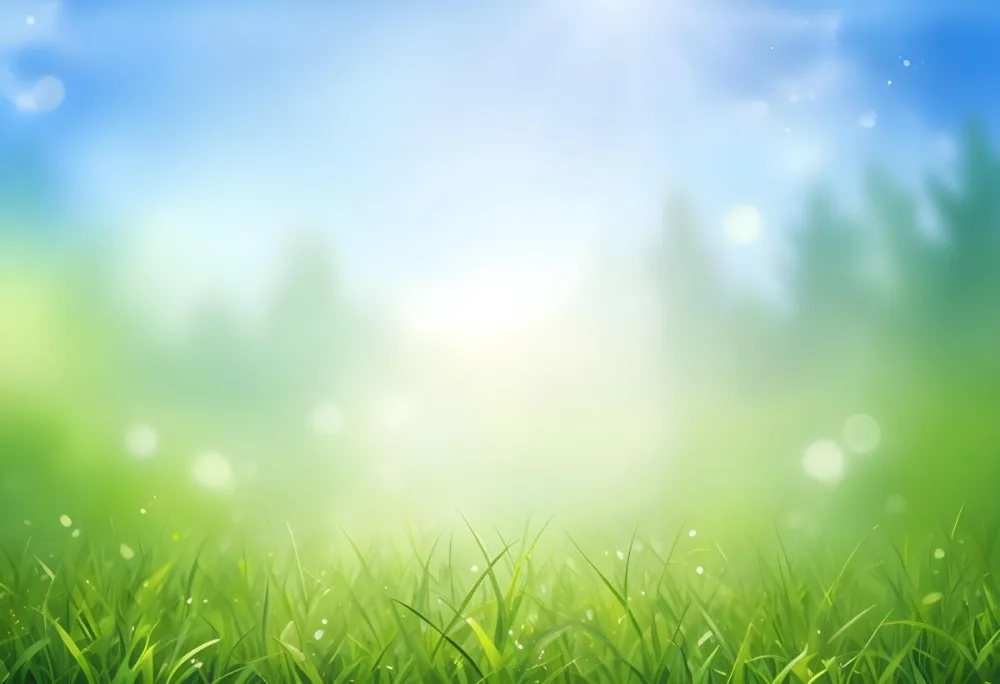 Oil Painting Green Grass Field With A Bokeh Effect Light Blue Sky Bright Light Sunny Day Vibrant Colors Nature Background Fresh Air Peaceful Atmosphere Spring Season Creative Extremely Detailed Brush Stroke 54 13a7