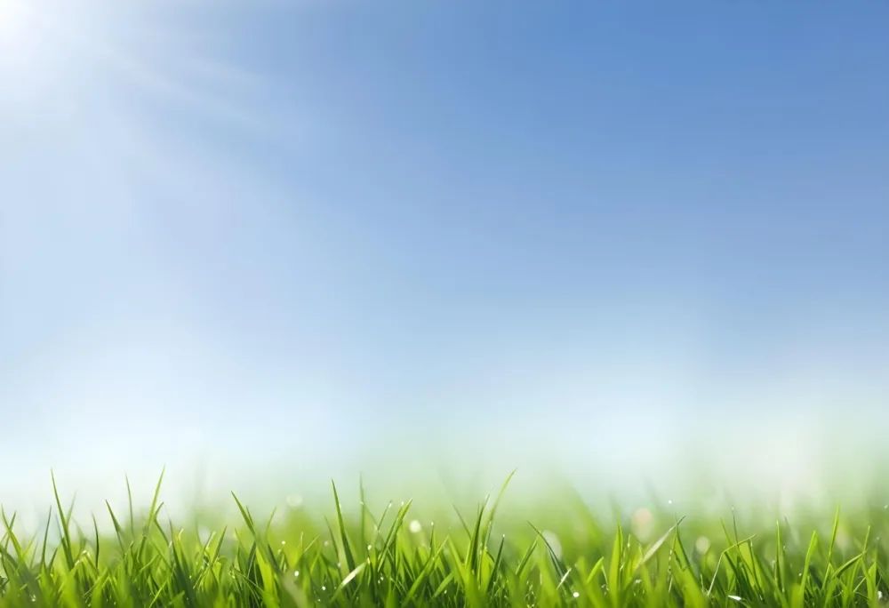 Oil Painting Green Grass With A Blue Sky And Bokeh Effect Creating A Fresh And Vibrant Outdoor Scene Perfect For A Summer Backdrop Creative Extremely Detailed Brush Stroke 53 7c54