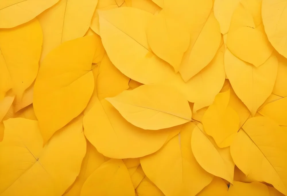 Overlapping Yellow Leaves Creating A Vibrant And Textured Background 9 48ba