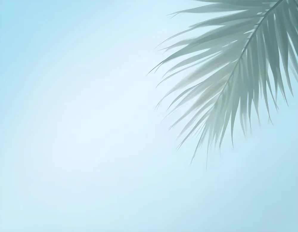 Palm Leaves In A Soft Focus Light Blue Background Dreamy Tropical Minimalist Calming Elegant Simple Airy Summer Vacation Relaxation 8 Ab5f