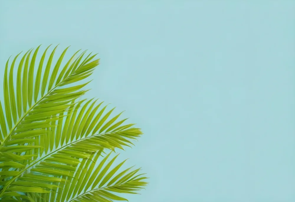 Palm Leaves In The Left Corner Vibrant Green Fronds With Intricate Details Against A Light Blue Background Tropical Vibe Minimalist Composition Bright And Airy 25 68c3