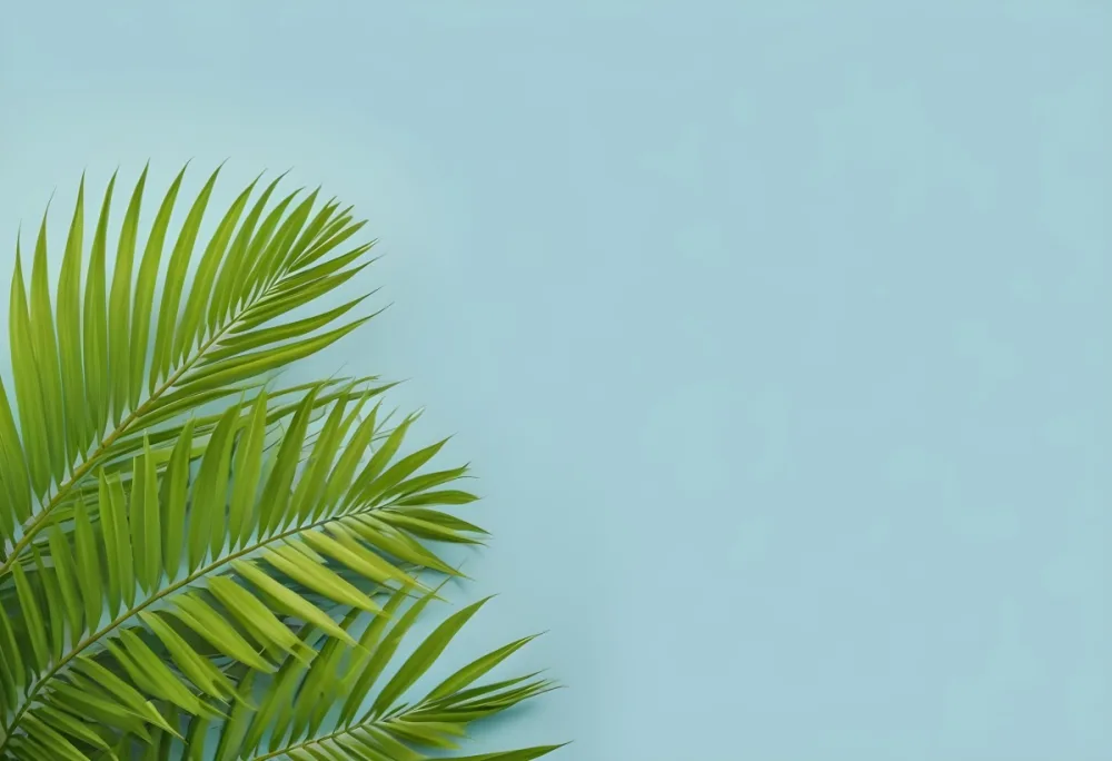 Palm Leaves In The Left Corner Vibrant Green Fronds With Intricate Details Against A Light Blue Background Tropical Vibe Minimalist Composition Bright And Airy 30 2cfe