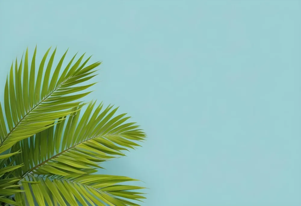 Palm Leaves In The Left Corner Vibrant Green Fronds With Intricate Details Against A Light Blue Background Tropical Vibe Minimalist Composition Bright And Airy 35 D6ba