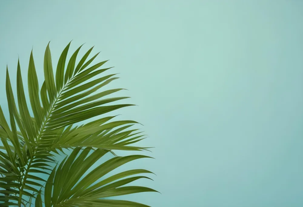 Palm Leaves In The Left Corner Vibrant Green Fronds With Intricate Details Against A Light Blue Background Tropical Vibe Minimalist Composition Bright And Airy 37 5218