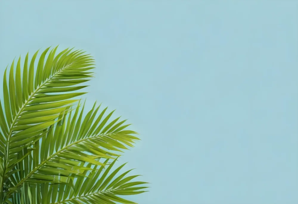 Palm Leaves In The Left Corner Vibrant Green Fronds With Intricate Details Against A Light Blue Background Tropical Vibe Minimalist Composition Bright And Airy 38 D525