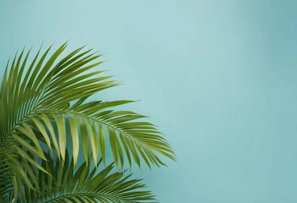 Palm Leaves In The Left Corner Vibrant Green Fronds With Intricate Details Against A Light Blue Background Tropical Vibe Minimalist Composition Bright And Airy 39 D08f