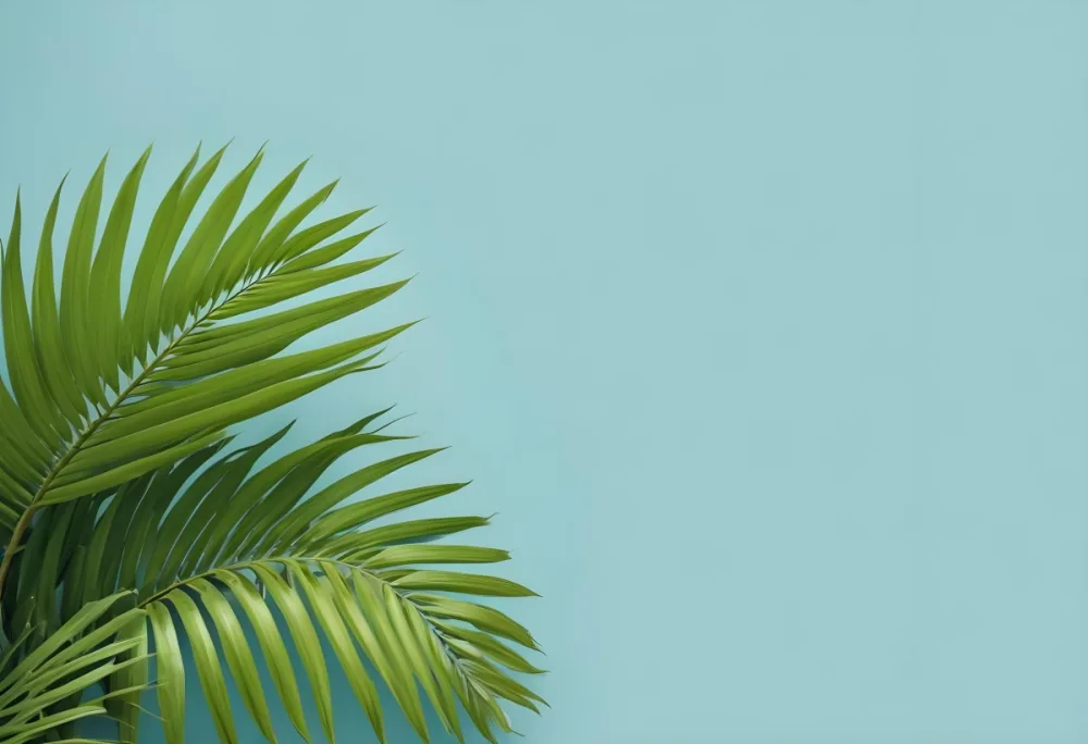 Palm Leaves In The Left Corner Vibrant Green Fronds With Intricate Details Against A Light Blue Background Tropical Vibe Minimalist Composition Bright And Airy 4 Fa8e