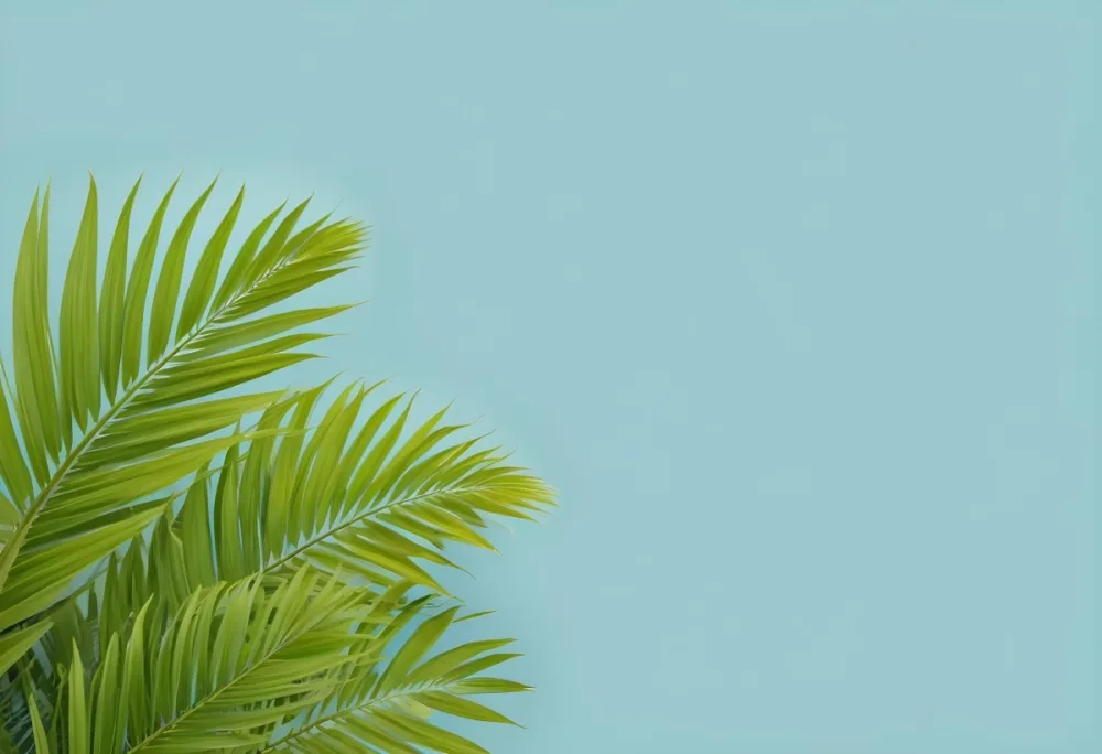 Palm Leaves In The Left Corner Vibrant Green Fronds With Intricate Details Against A Light Blue Background Tropical Vibe Minimalist Composition Bright And Airy 43 64ef