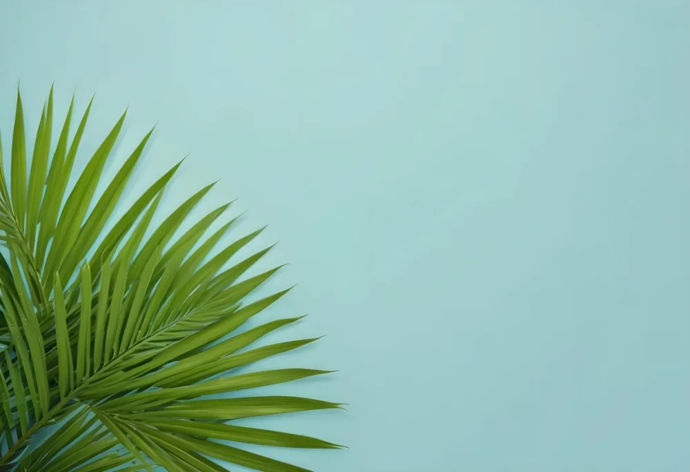Palm Leaves In The Left Corner Vibrant Green Fronds With Intricate Details Against A Light Blue Background Tropical Vibe Minimalist Composition Bright And Airy 8 E400