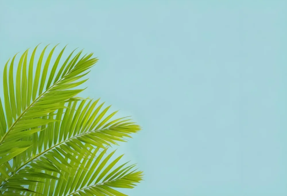 Palm Leaves In The Left Corner Vibrant Green Fronds With Intricate Details Against A Light Blue Background Tropical Vibe Minimalist Composition Bright And Airy 9 E170