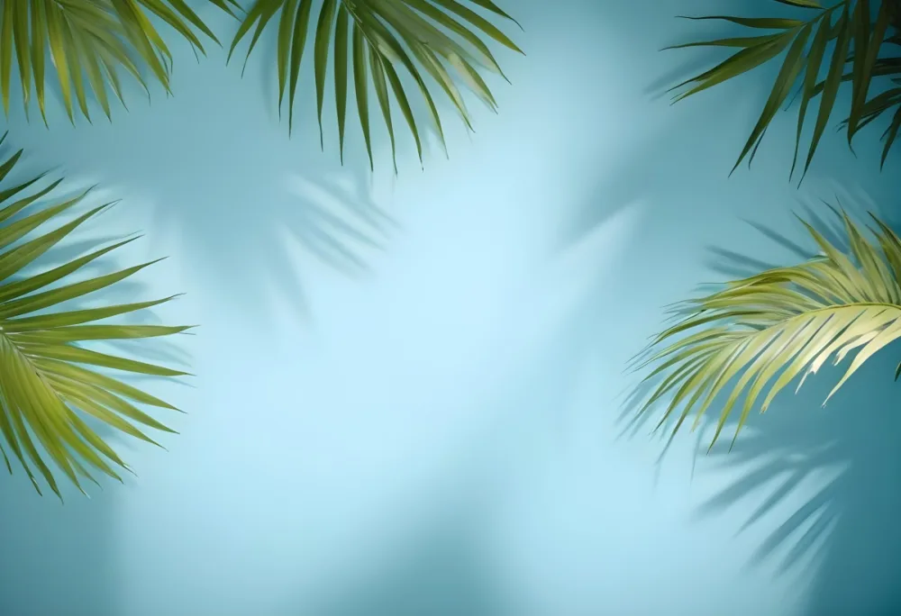 Palm Leaves On The Corners With A Shadow Of Palm Leaves In A Blue Background 1 A474