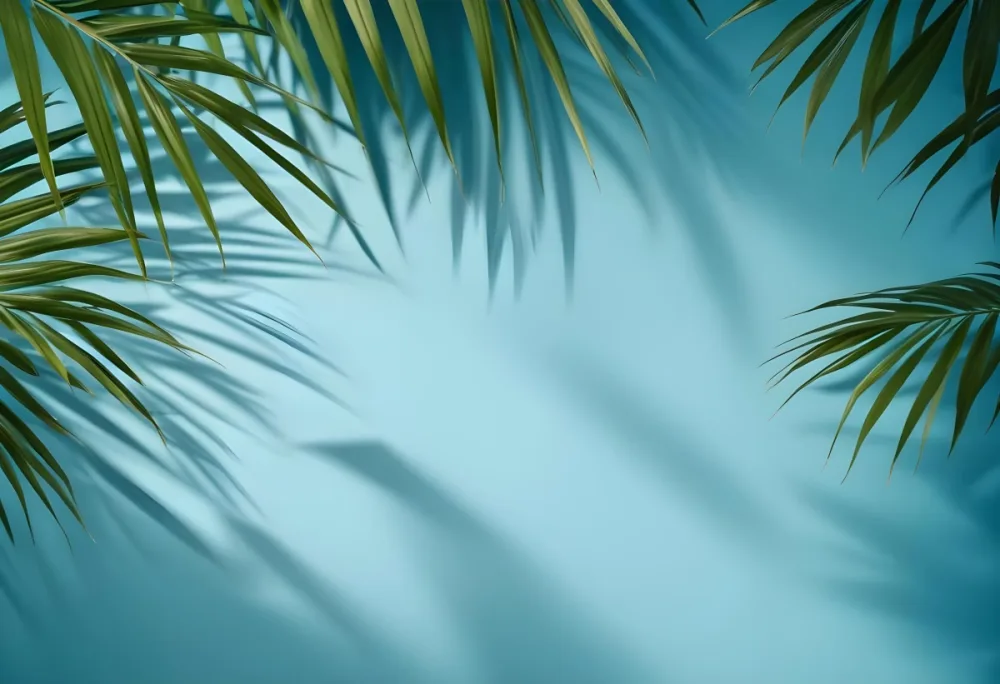 Palm Leaves On The Corners With A Shadow Of Palm Leaves In A Blue Background 15 1dcf