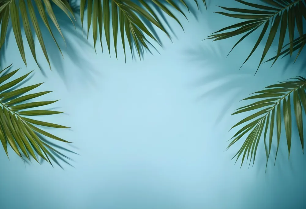 Palm Leaves On The Corners With A Shadow Of Palm Leaves In A Blue Background 16 0524