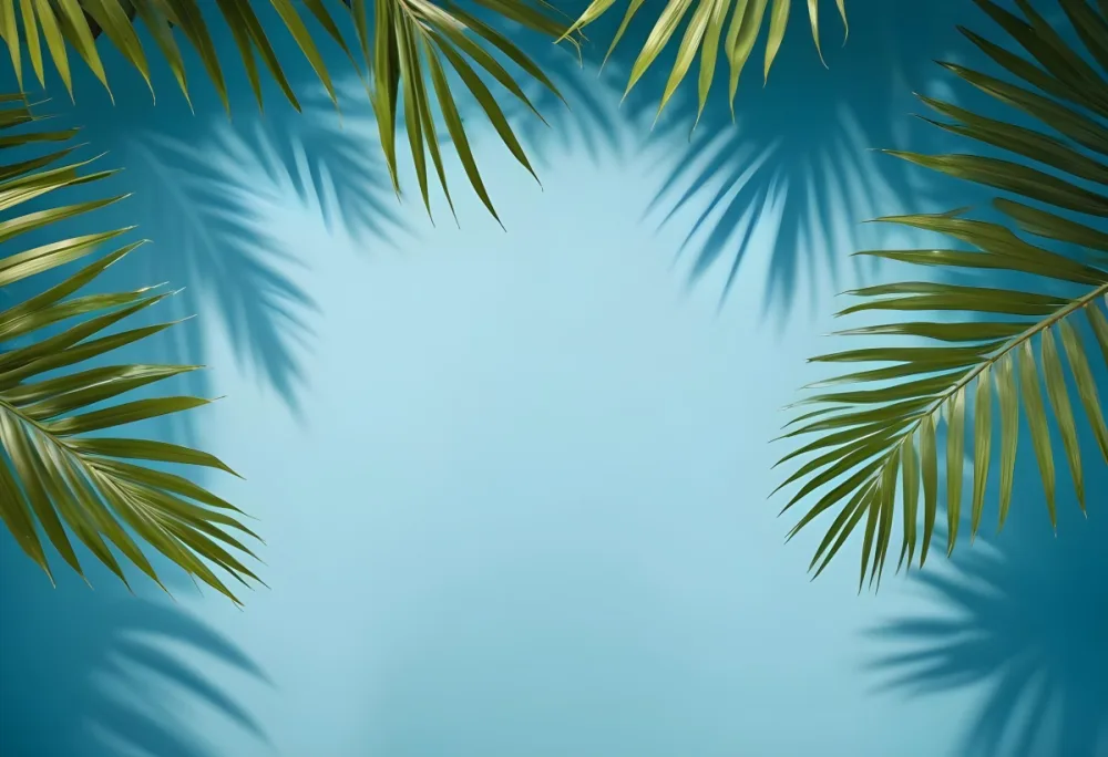Palm Leaves On The Corners With A Shadow Of Palm Leaves In A Blue Background 29 22a9