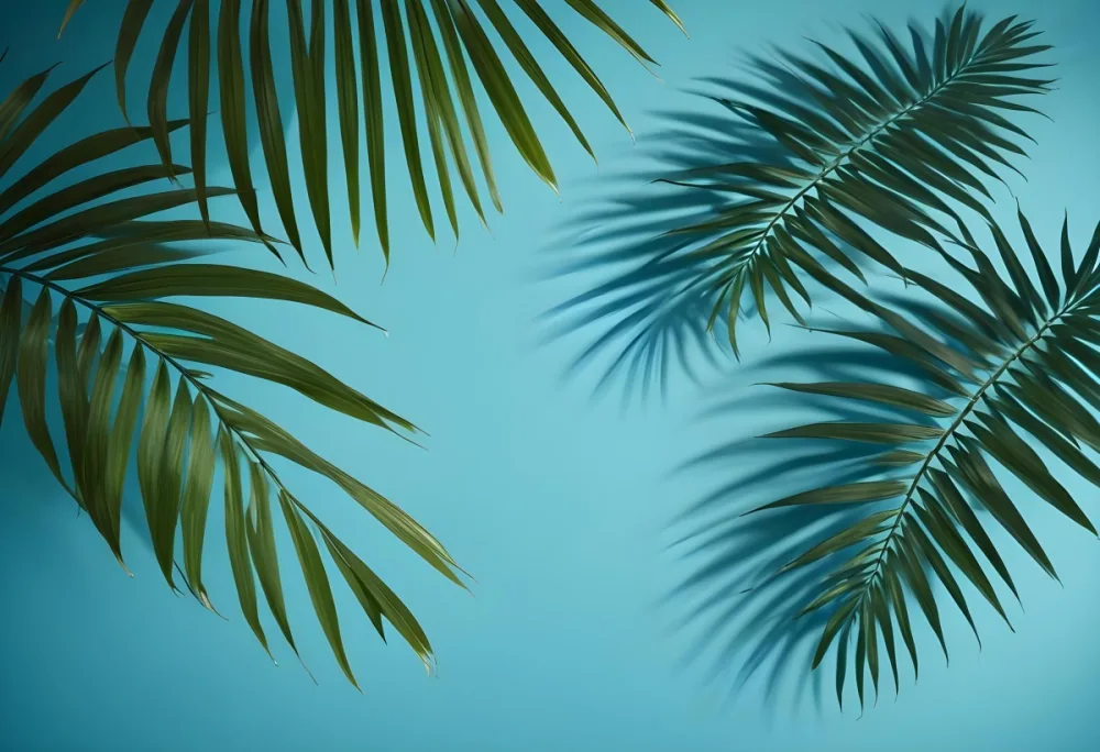 Palm Leaves On The Corners With A Shadow Of Palm Leaves In A Blue Background 31 0c7f