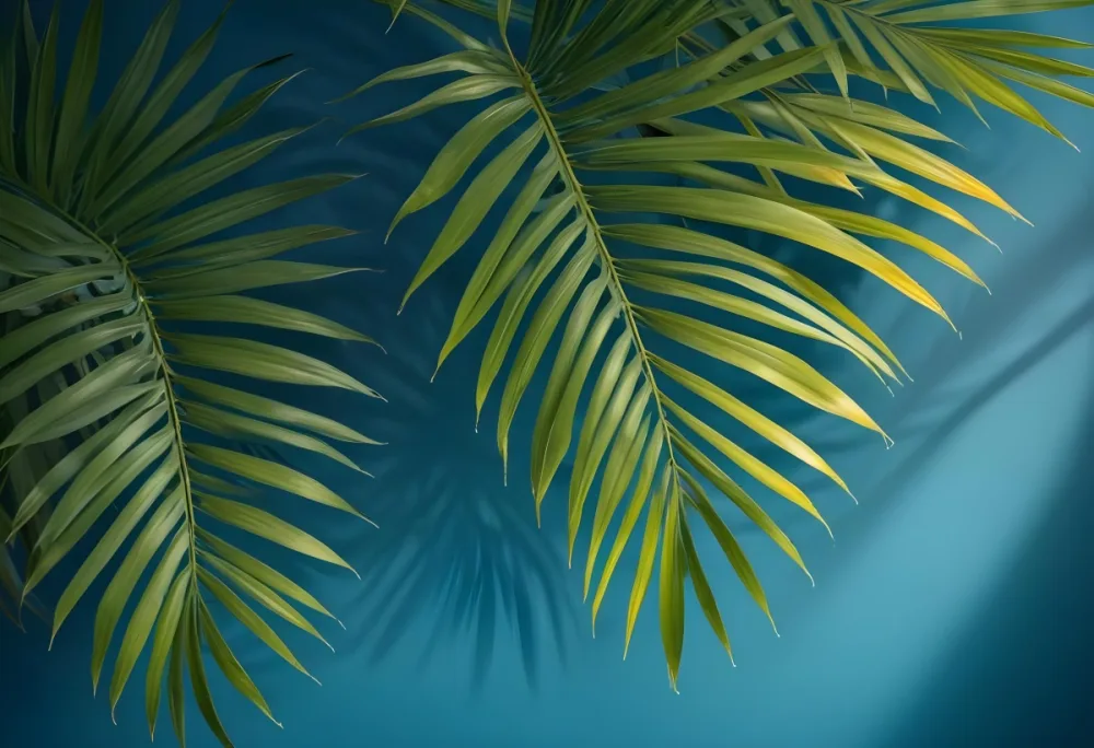 Palm Leaves On The Corners With A Shadow Of Palm Leaves In A Blue Background 33 5f9c