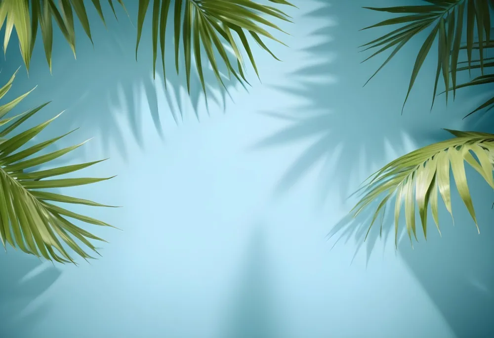 Palm Leaves On The Corners With A Shadow Of Palm Leaves In A Blue Background 40 286a