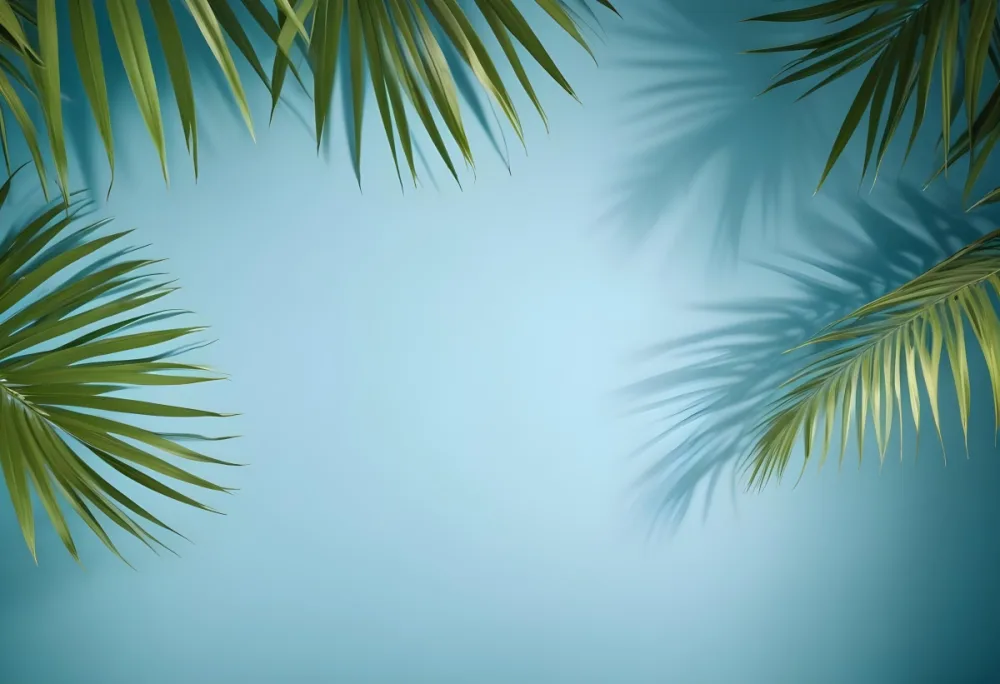 Palm Leaves On The Corners With A Shadow Of Palm Leaves In A Blue Background 43 8e48
