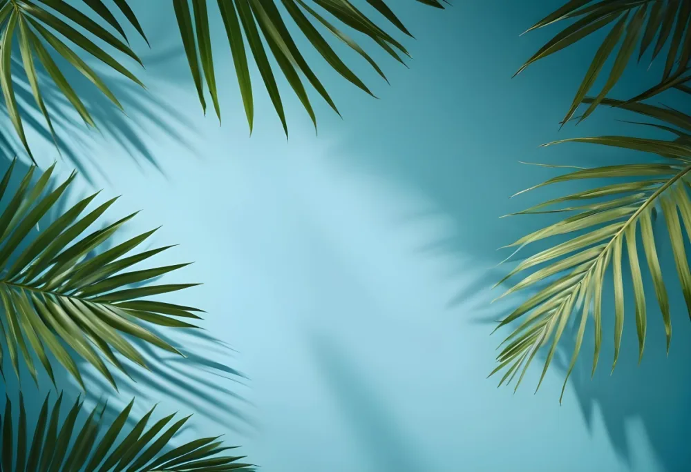 Palm Leaves On The Corners With A Shadow Of Palm Leaves In A Blue Background 46 7d4b