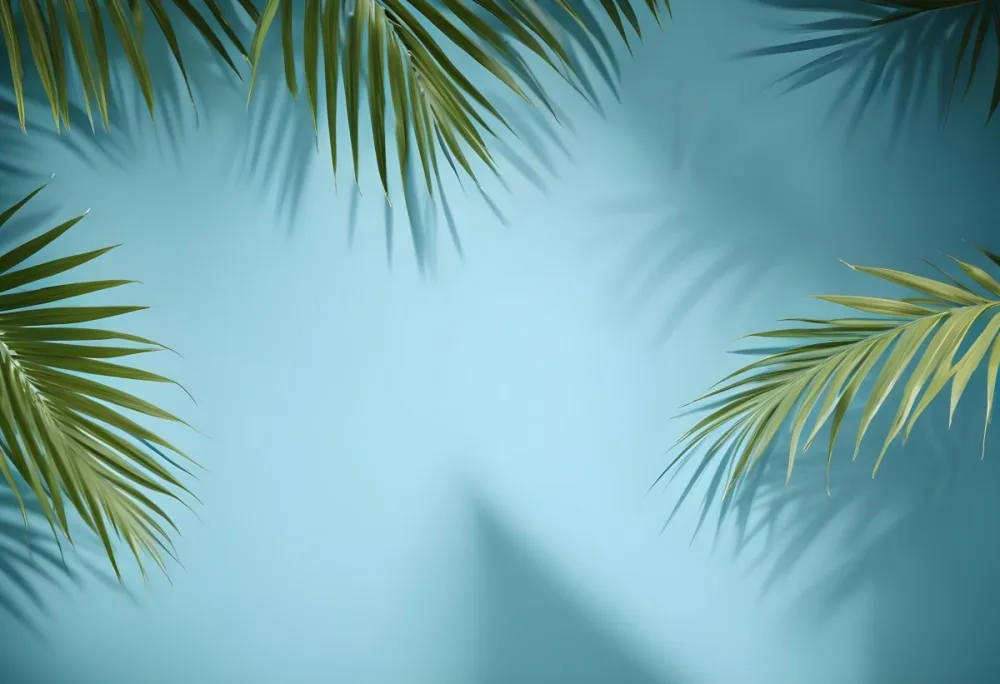 Palm Leaves On The Corners With A Shadow Of Palm Leaves In A Blue Background 48 B81b