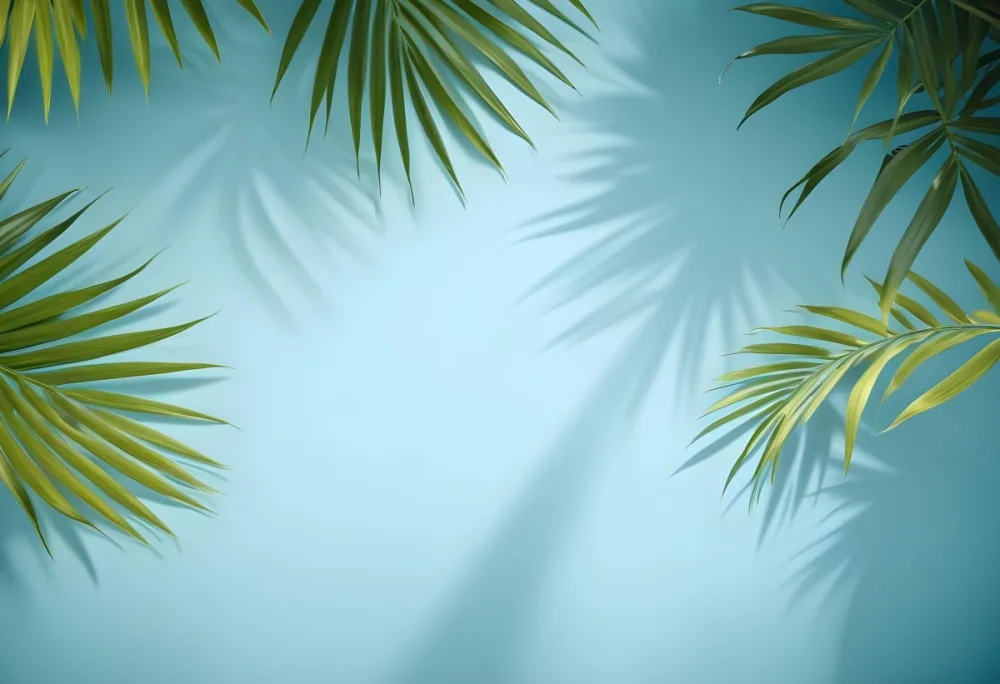 Palm Leaves On The Corners With A Shadow Of Palm Leaves In A Blue Background 53 3a40