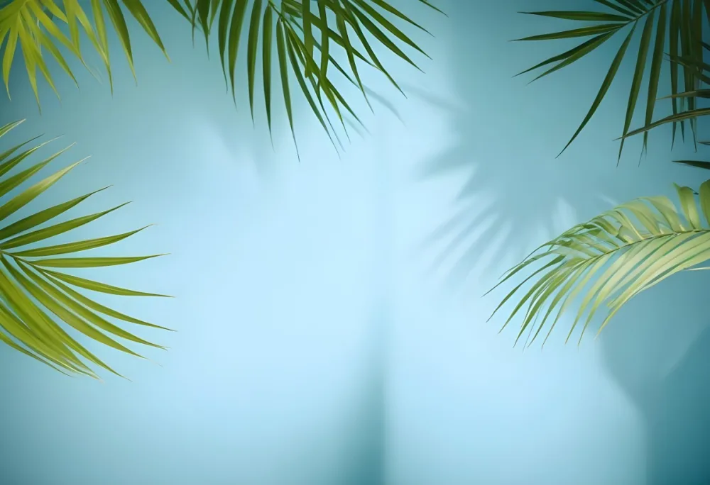 Palm Leaves On The Corners With A Shadow Of Palm Leaves In A Blue Background 6 6096