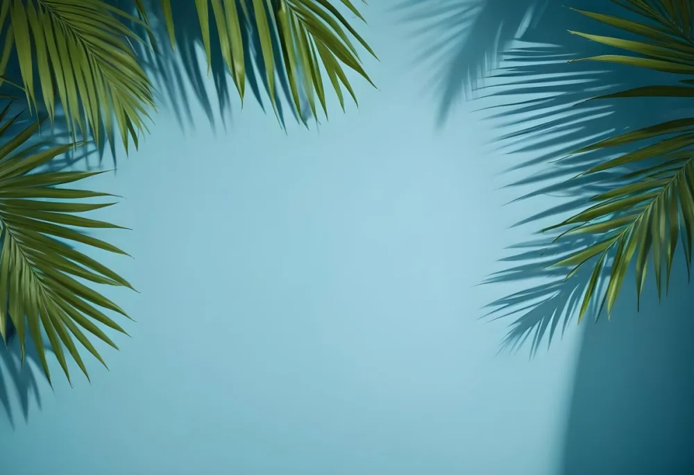 Palm Leaves On The Corners With A Shadow Of Palm Leaves In A Blue Background 67 2f06