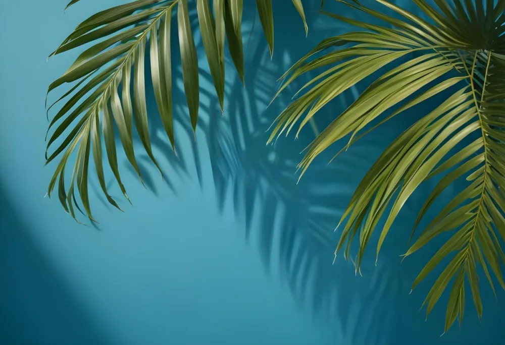 Palm Leaves On The Corners With A Shadow Of Palm Leaves In A Blue Background 77 3027