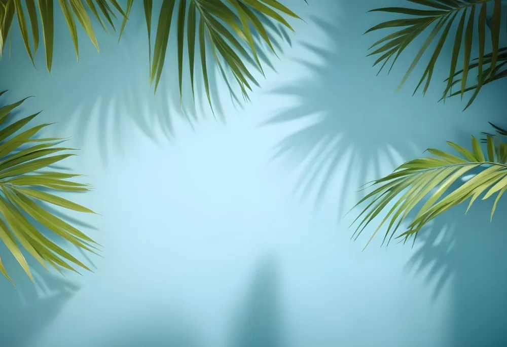 Palm Leaves On The Corners With A Shadow Of Palm Leaves In A Blue Background 82 Fce8